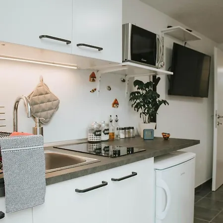 Pod Hrusko Apartma *